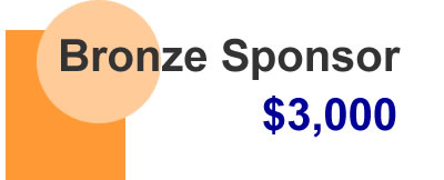 Bronze Sponsor